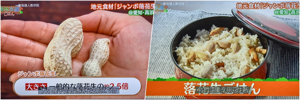 【名古屋愛知縣美食】產地達人教你吃 看電視認識日本在地美味食材！輕鬆料理新鮮上桌