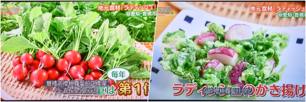 【名古屋愛知縣美食】產地達人教你吃 看電視認識日本在地美味食材！輕鬆料理新鮮上桌