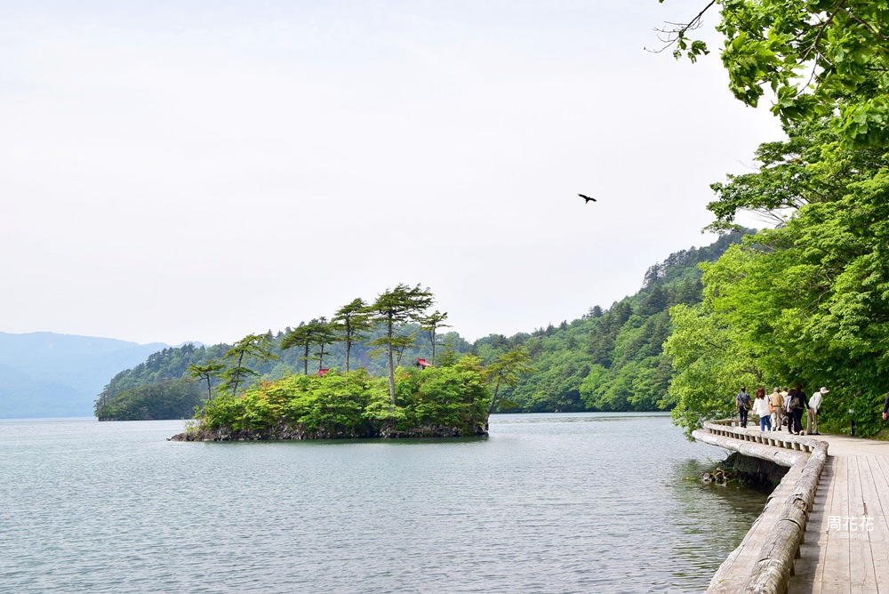【日本遊記】東北青森縣．十和田湖 夏天散策 東京出發二日遊行程規劃