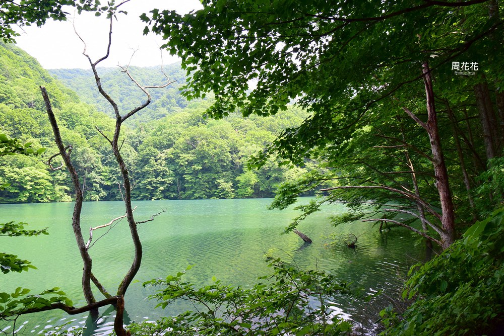 【日本遊記】東北青森縣．十二湖青池秘境散策 日本封為一生必搭一次「五能線」！