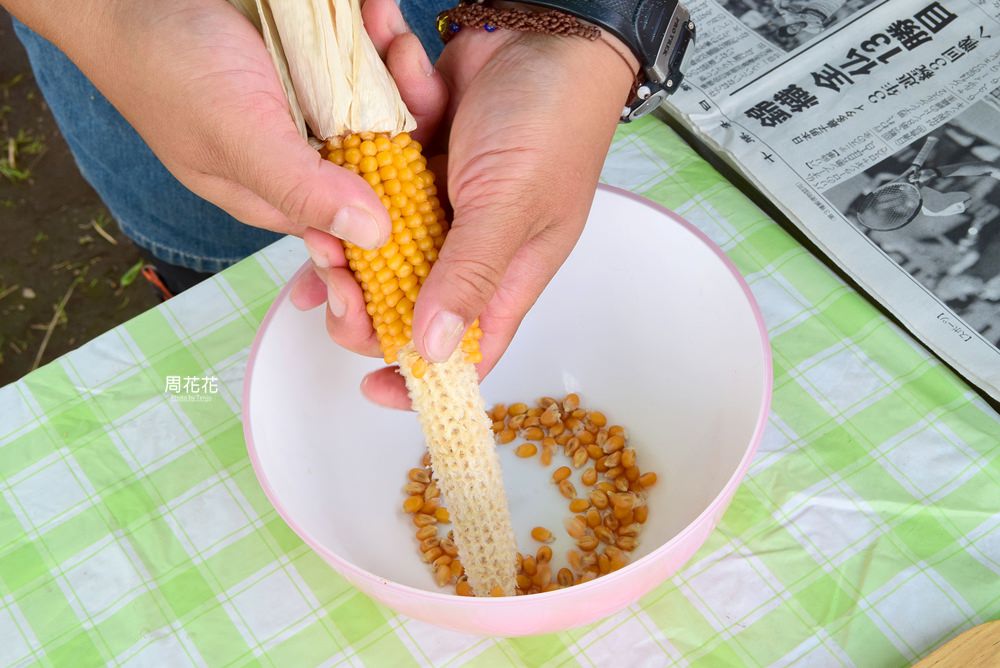 【日本遊記】帶廣市 坂東農場 北海道一日農夫體驗 還能在田裡野餐 自己的食物自己摘！