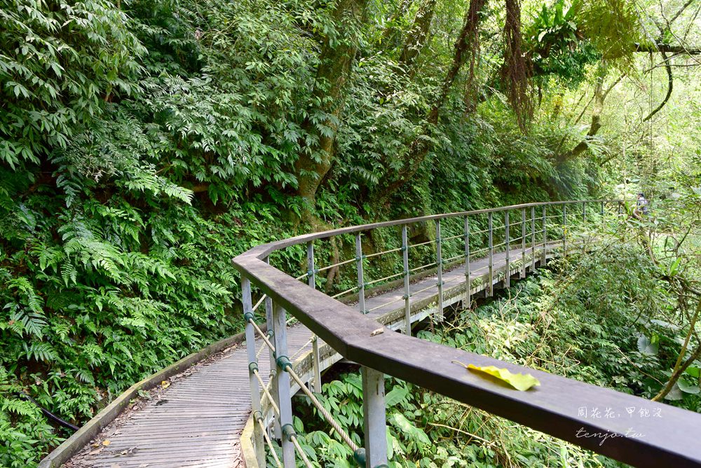 【宜蘭礁溪景點推薦】林美石磐步道 有小太魯閣之稱的山林美景！一日遊避暑好去處