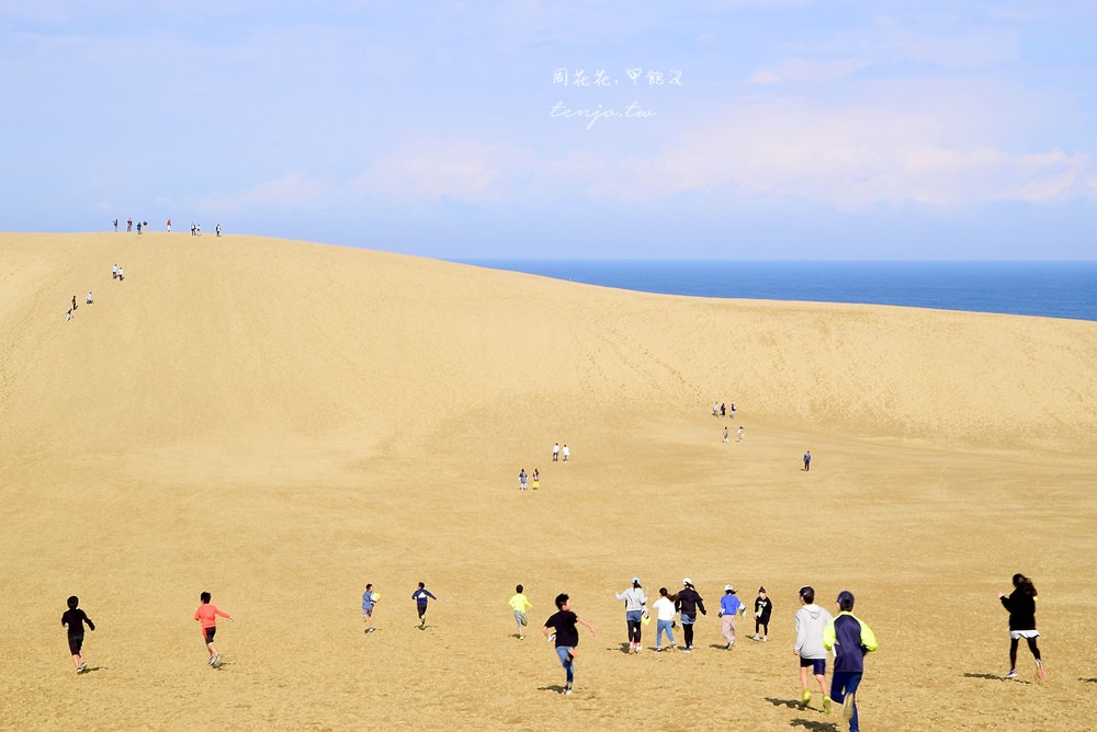 【山陰鳥取景點】鳥取砂丘 日本最大沙場絕景！前往交通方式、周邊旅遊資訊總整理