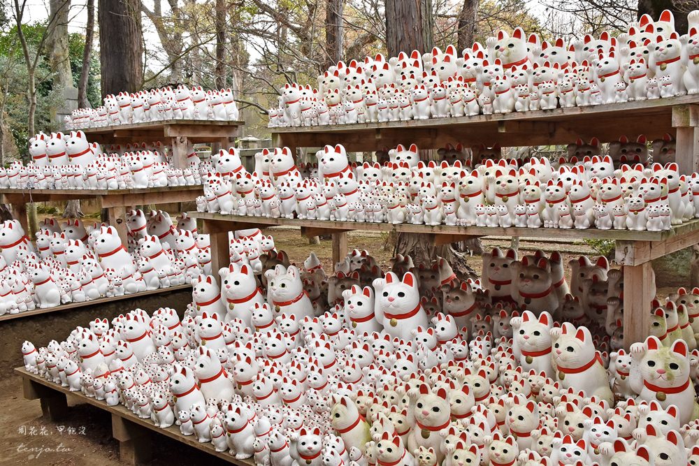 【東京特色神社】豪德寺 上千隻招財貓招來幸運和幸福！搭電車近郊一日遊貓旅行