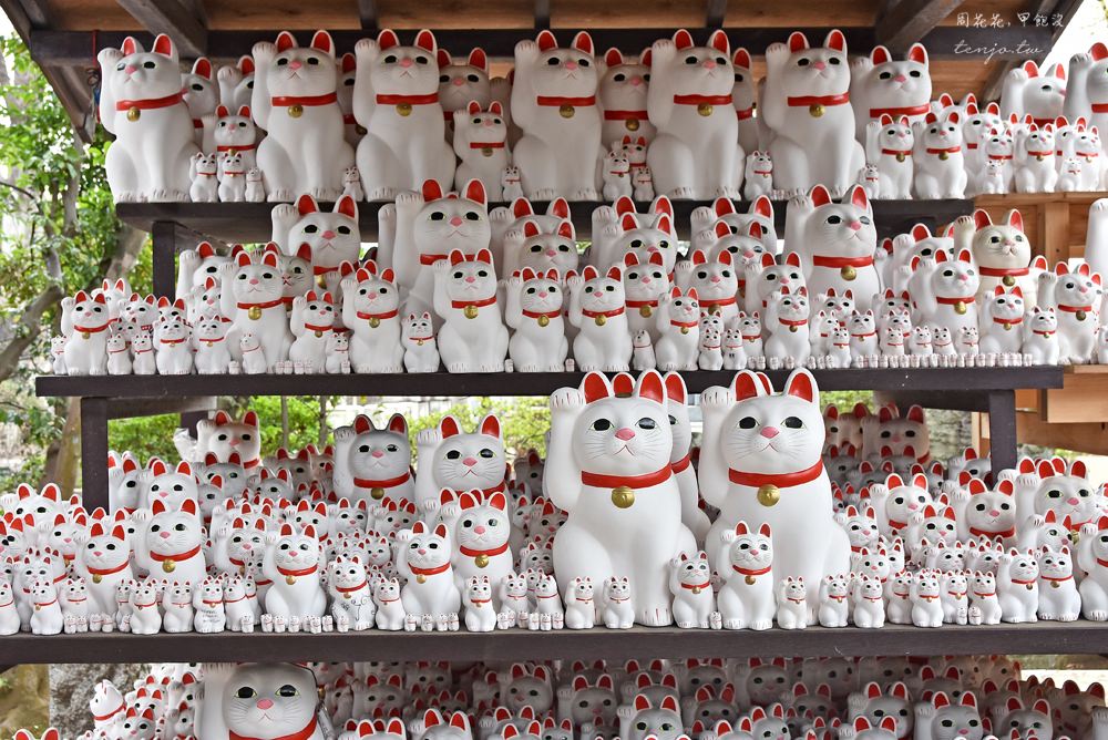 【東京特色神社】豪德寺 上千隻招財貓招來幸運和幸福！搭電車近郊一日遊貓旅行