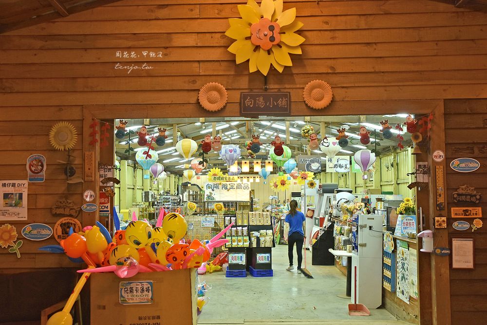 【桃園景點】向陽農場 免門票入場！北台灣最大向日葵花海，烤肉桌菜、戶外教學