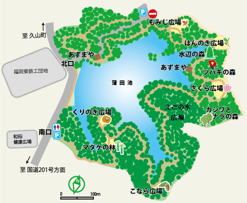 【福岡秘境景點】篠栗九大の森 巨大水中落羽松！魔幻森林般絕景攝影點