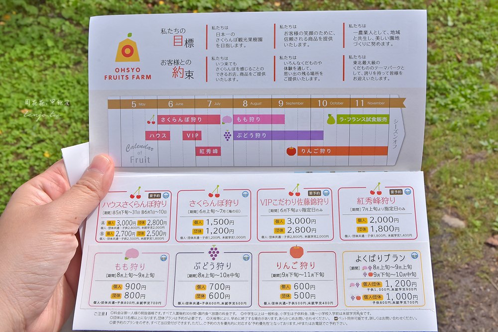 【日本東北】王將果樹園 山形現採櫻桃、水蜜桃、葡萄、蘋果無限吃500円起