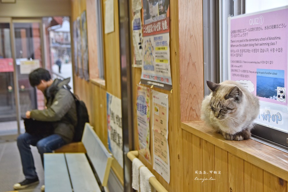 【九州福岡景點】相島 CNN評選世界六大貓島！前往交通方式、船班時間，冬天來也推薦