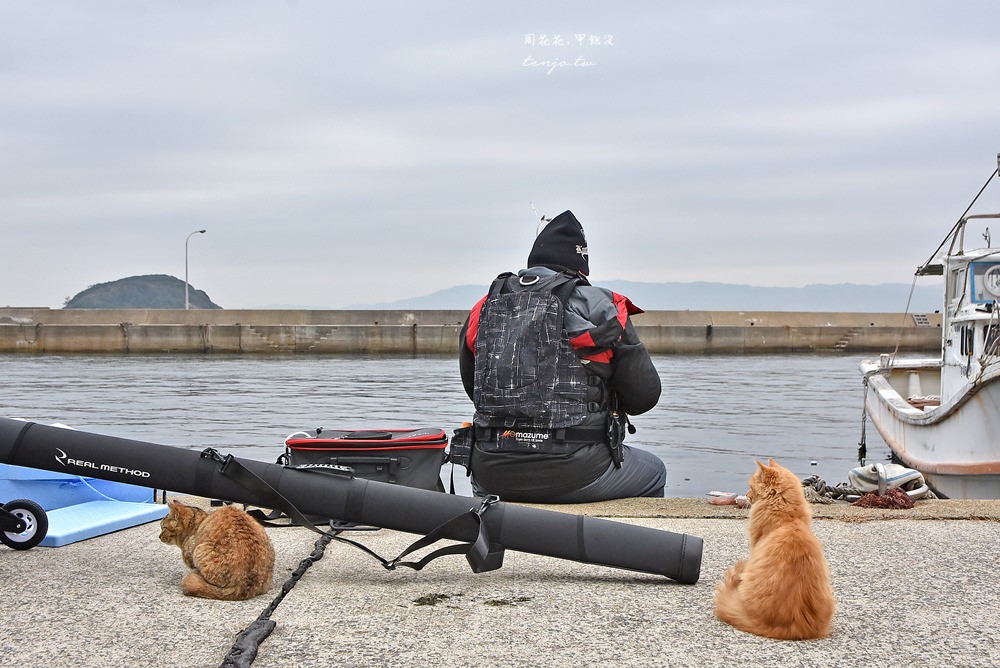 【九州福岡景點】相島 CNN評選世界六大貓島！前往交通方式、船班時間，冬天來也推薦