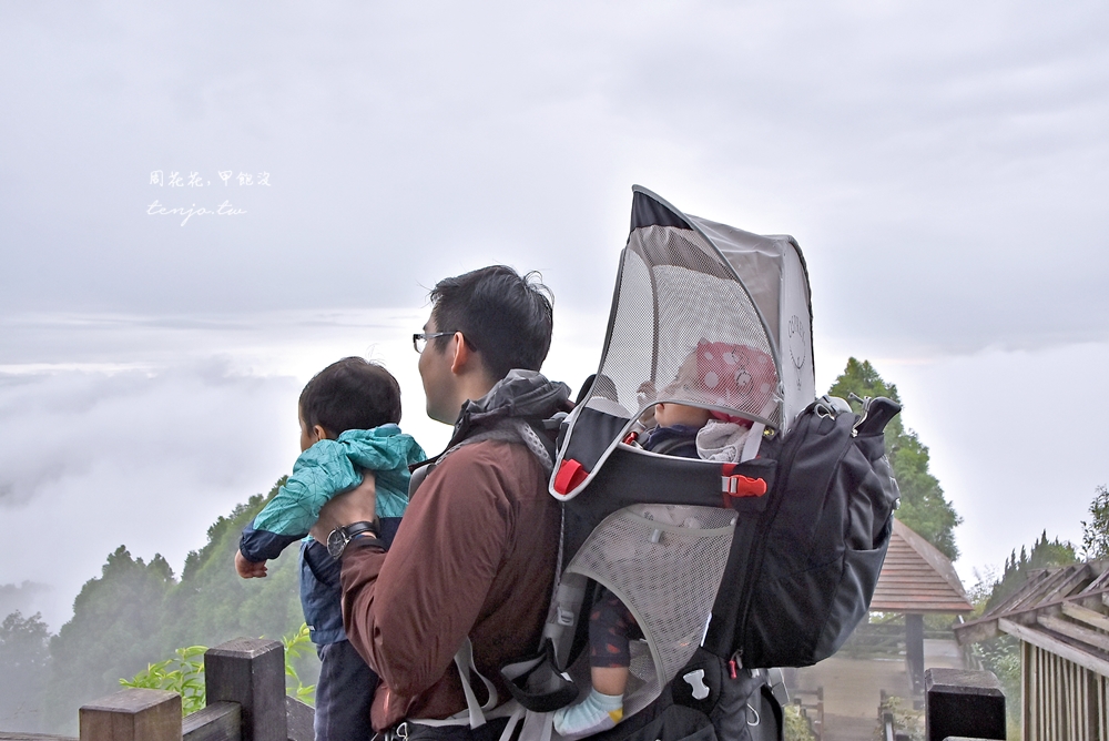 【嘉義阿里山景點】二延平步道 雲海夕陽茶園三景全收錄！即時影像直播天氣景色