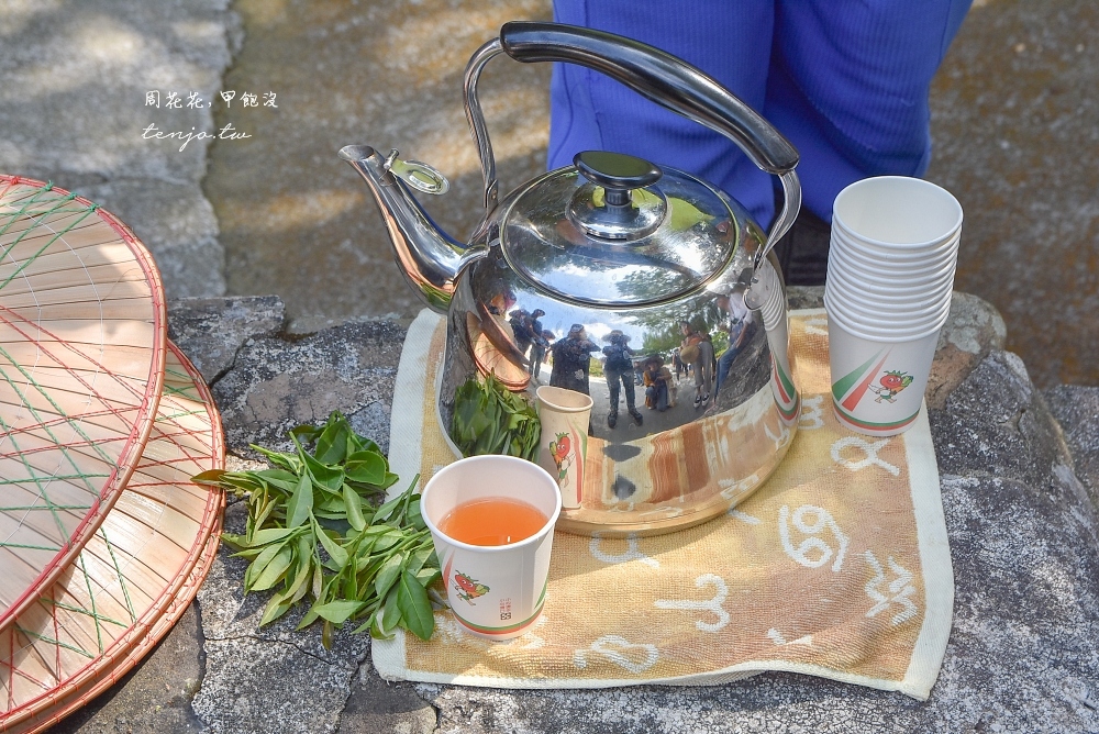 【屏東景點推薦】滿州港口社區生態旅遊 百年港口茶採茶品茗、在地食材媽媽手做風味餐