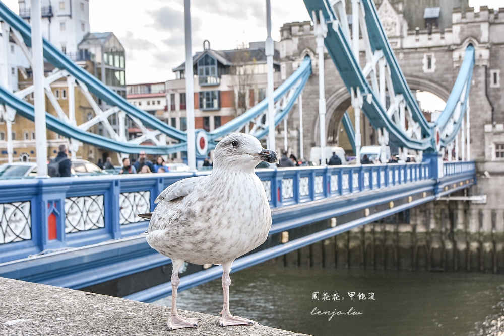 【英國景點】倫敦塔橋Tower Bridge 最經典倫敦地標推薦！倫敦鐵橋垮下去故事不是這