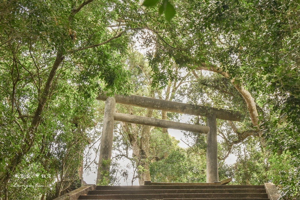 【花蓮玉里景點】玉里神社遺址 東部保留最完整限定古蹟神社！穿越歷史鳥居、表參道