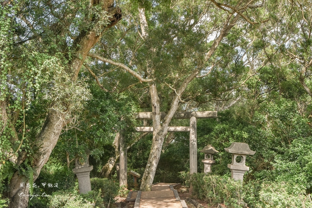 【花蓮玉里景點】玉里神社遺址 東部保留最完整限定古蹟神社！穿越歷史鳥居、表參道