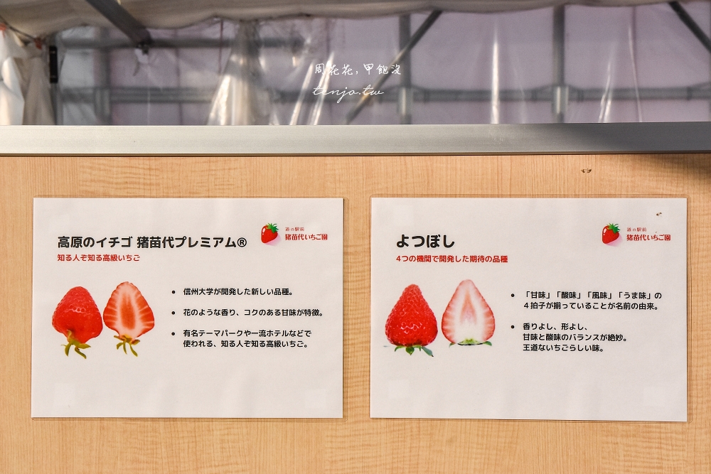 【福島景點】道之站前豬苗代草莓園 一年四季都可採草莓！45分鐘草莓吃到飽好吃又好玩