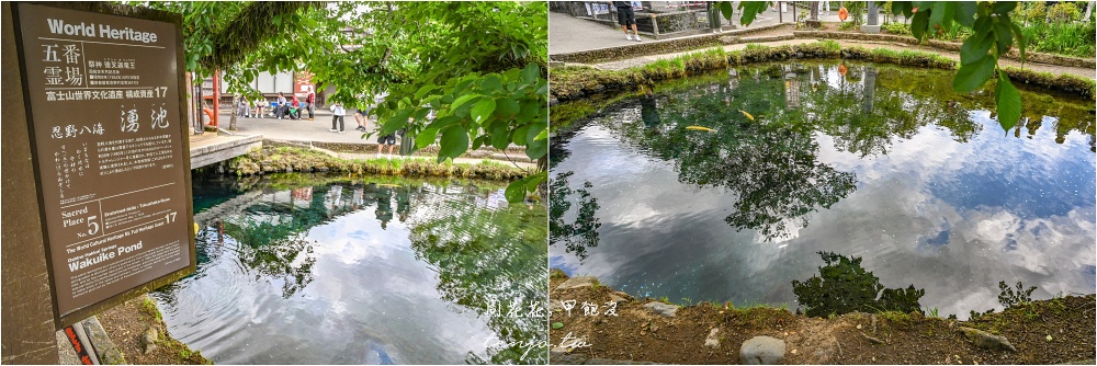 【忍野八海攻略】日本名水百選x國家天然紀念物：巴士時刻表、必吃美食必買伴手禮整理
