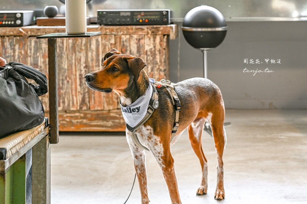 【台中咖啡推薦】Tamp Temper Yozma Taichung Coffee 科博館附近超美綠樹窗景咖啡店