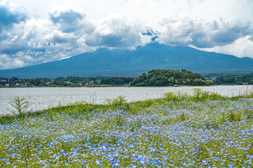 【KKday富士山一日遊評價】河口湖大石公園、忍野八海、御殿場Outlet、木之花之湯溫泉