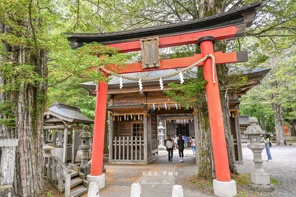 【忍野八海攻略】日本名水百選x國家天然紀念物：巴士時刻表、必吃美食必買伴手禮整理