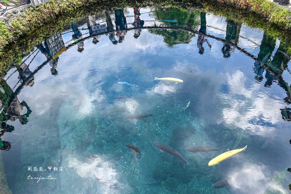【忍野八海攻略】日本名水百選x國家天然紀念物：巴士時刻表、必吃美食必買伴手禮整理