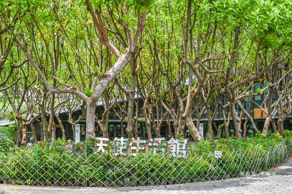 【圓山咖啡店推薦】天使生活館 隱身花博新生園區超美花園咖啡廳！150元就能賞花喝咖啡