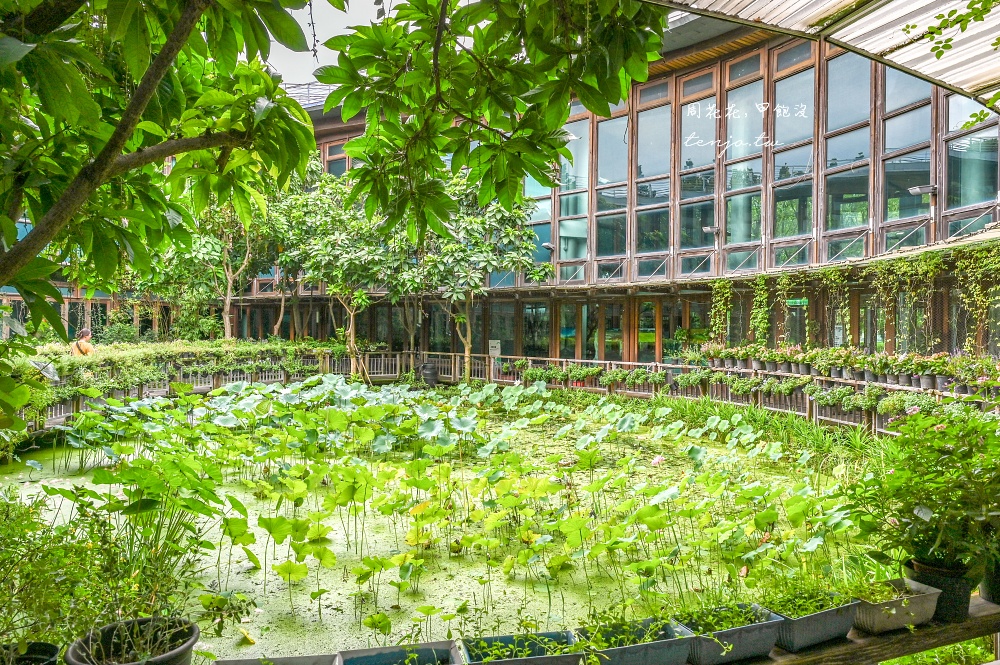 【圓山咖啡店推薦】天使生活館 隱身花博新生園區超美花園咖啡廳！150元就能賞花喝咖啡