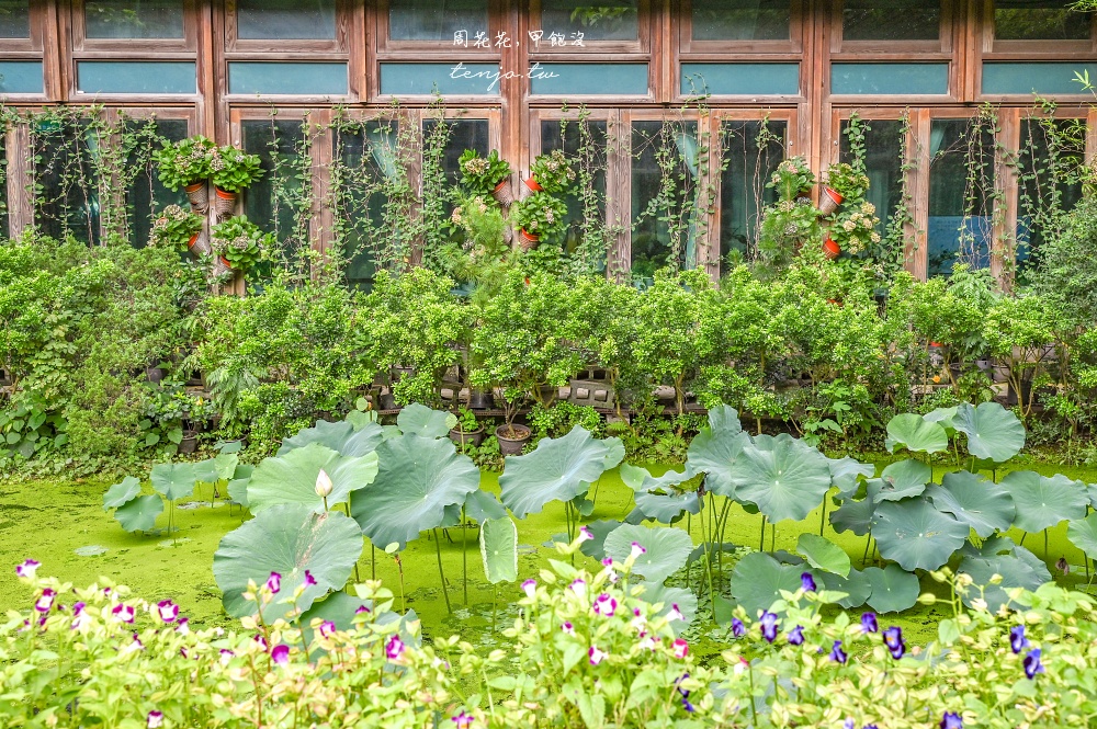 【圓山咖啡店推薦】天使生活館 隱身花博新生園區超美花園咖啡廳！150元就能賞花喝咖啡