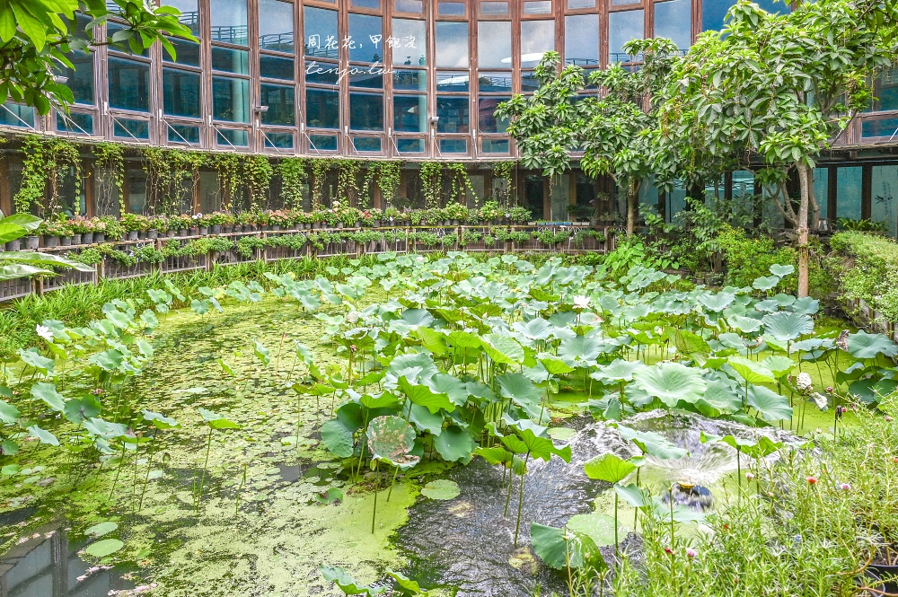 【圓山咖啡店推薦】天使生活館 隱身花博新生園區超美花園咖啡廳！150元就能賞花喝咖啡