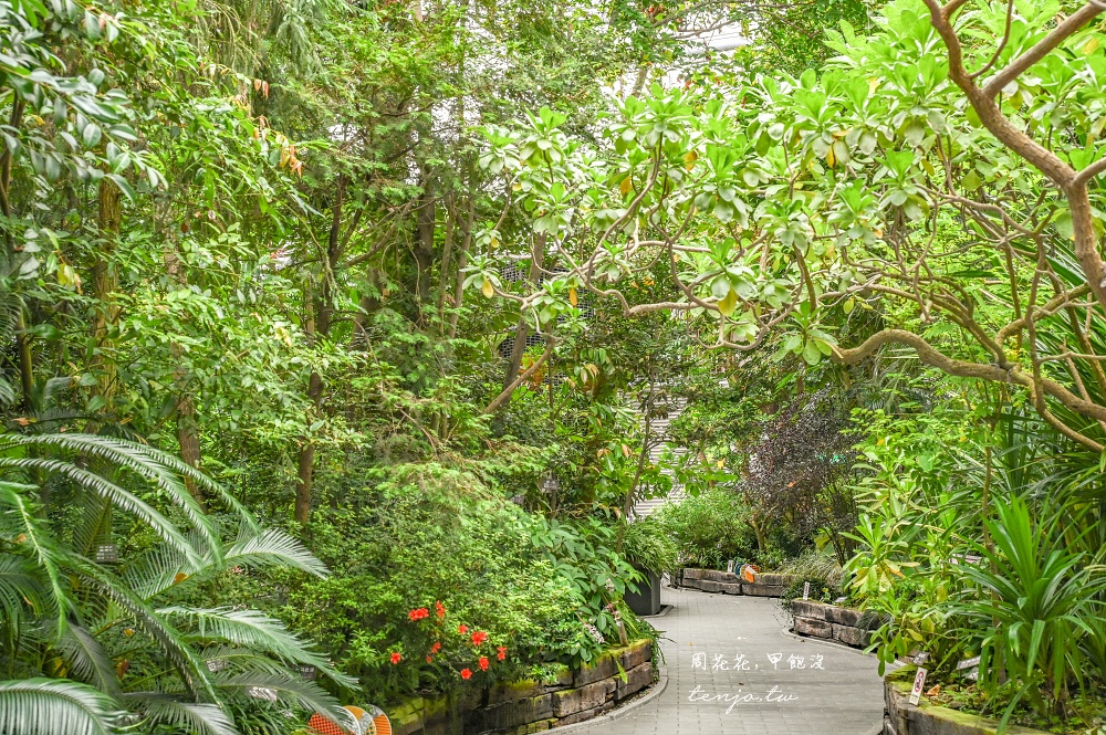 【台北景點推薦】臺北典藏植物園 免門票免費參觀！展出近五百種植物下雨天也能來吹冷氣