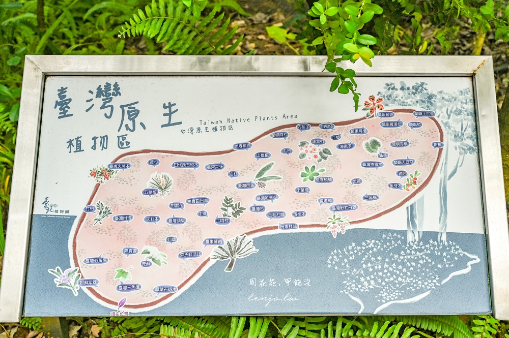 【台北景點推薦】臺北典藏植物園 免門票免費參觀！展出近五百種植物下雨天也能來吹冷氣