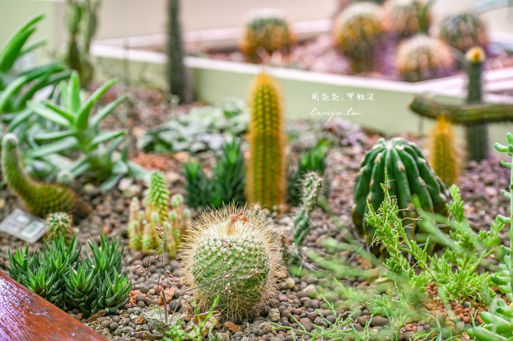 【台北景點推薦】臺北典藏植物園 免門票免費參觀！展出近五百種植物下雨天也能來吹冷氣