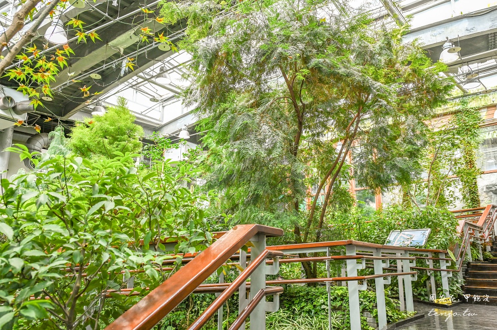 【台北景點推薦】臺北典藏植物園 免門票免費參觀！展出近五百種植物下雨天也能來吹冷氣