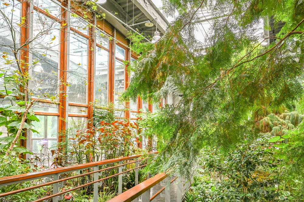 【台北景點推薦】臺北典藏植物園 免門票免費參觀！展出近五百種植物下雨天也能來吹冷氣