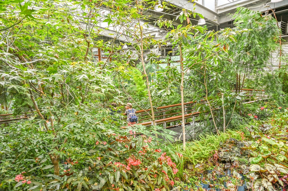 【台北景點推薦】臺北典藏植物園 免門票免費參觀！展出近五百種植物下雨天也能來吹冷氣