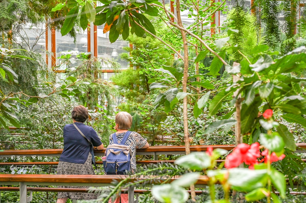 【台北景點推薦】臺北典藏植物園 免門票免費參觀！展出近五百種植物下雨天也能來吹冷氣