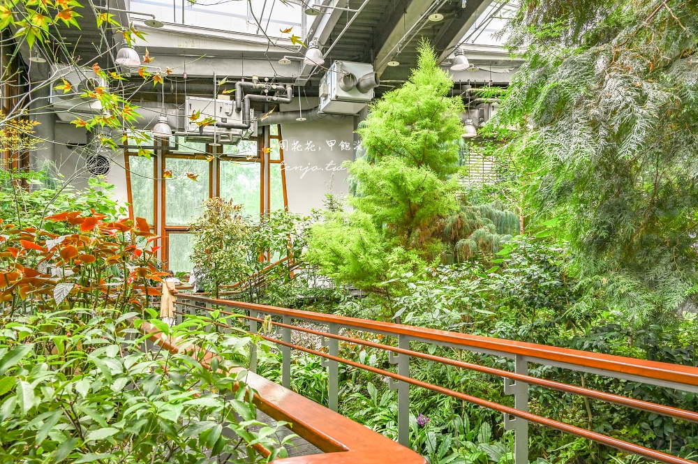 【台北景點推薦】臺北典藏植物園 免門票免費參觀！展出近五百種植物下雨天也能來吹冷氣