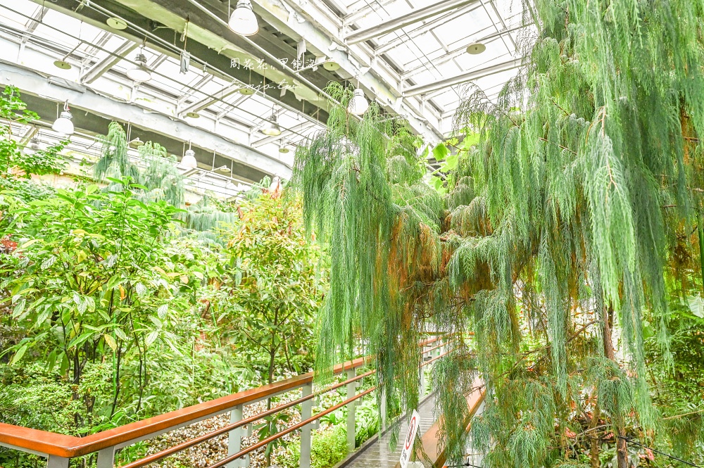 【台北景點推薦】臺北典藏植物園 免門票免費參觀！展出近五百種植物下雨天也能來吹冷氣