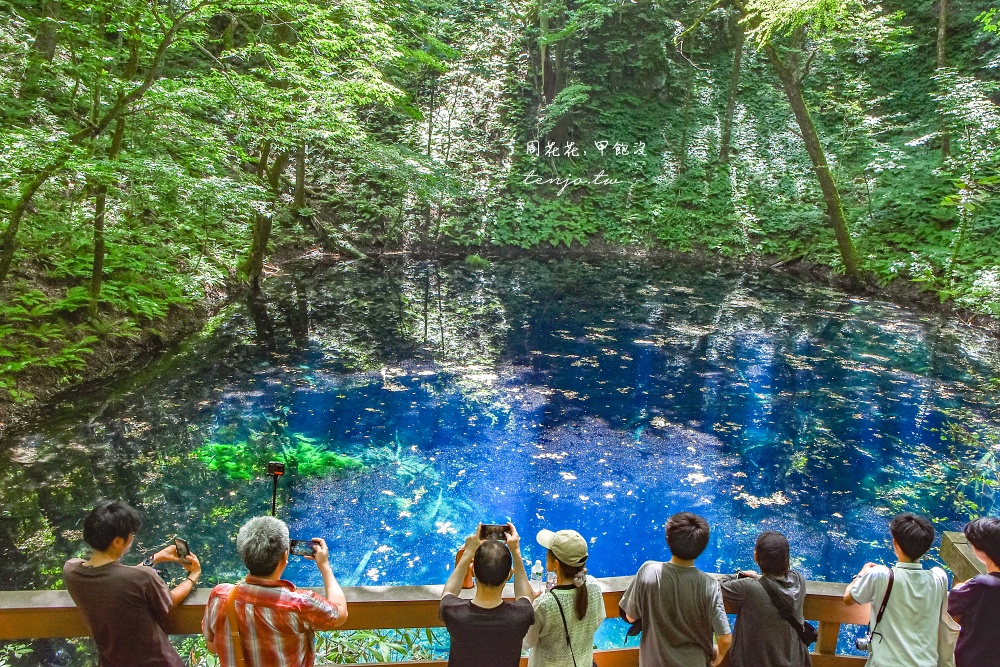 【青森秘境景點】白神山地十二湖青池 青藍色絕美湖景！如何前往交通攻略一日遊行程規劃