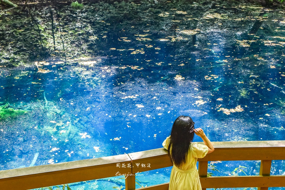 【青森秘境景點】白神山地十二湖青池 青藍色絕美湖景！如何前往交通攻略一日遊行程規劃