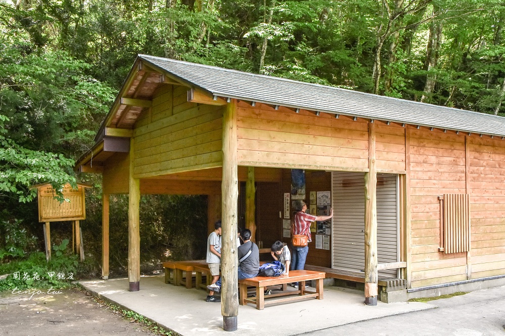 【青森秘境景點】白神山地十二湖青池 青藍色絕美湖景！如何前往交通攻略一日遊行程規劃