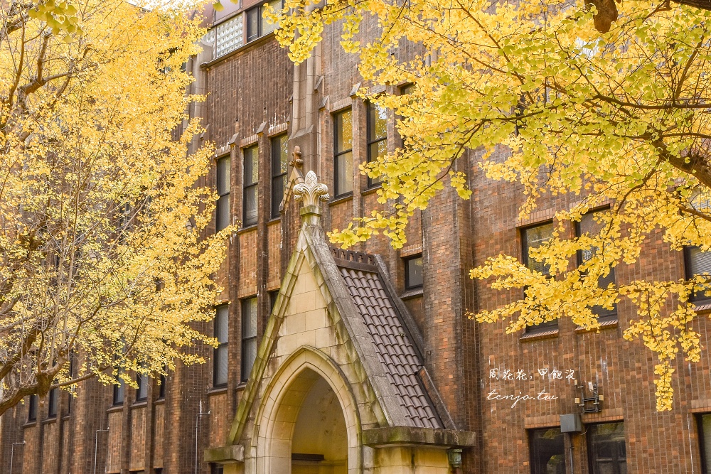 【東京銀杏景點】東京大學銀杏並木 秋季限定金黃浪漫隧道！推薦再到中央食堂吃學生午餐