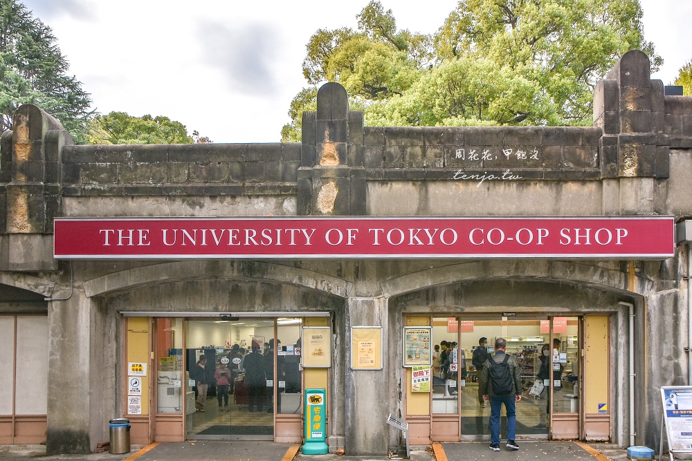 【東京銀杏景點】東京大學銀杏並木 秋季限定金黃浪漫隧道！推薦再到中央食堂吃學生午餐