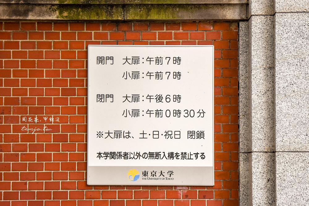 【東京銀杏景點】東京大學銀杏並木 秋季限定金黃浪漫隧道！推薦再到中央食堂吃學生午餐