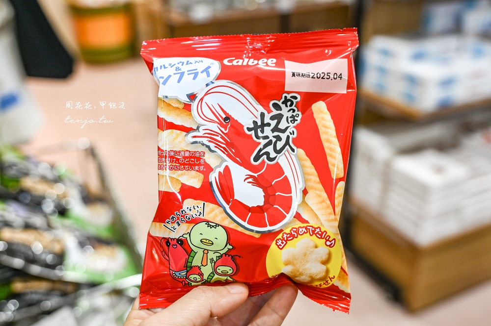 【京都景點推薦】伊根灣遊覽船 遊船欣賞日本威尼斯伊根舟屋！蝦味先餵海鷗老鷹超有趣