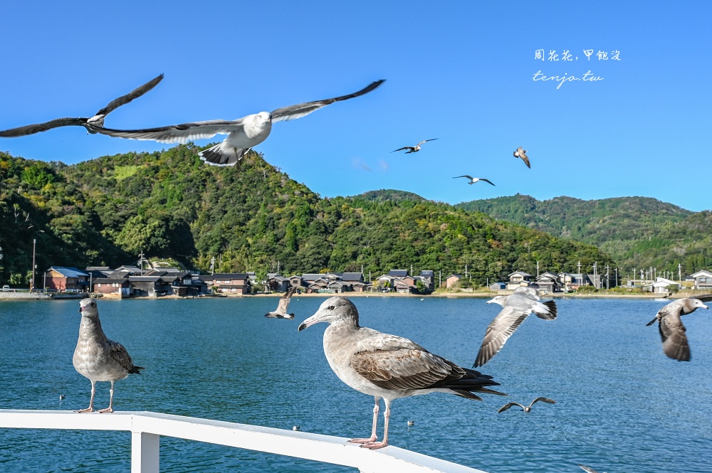 【京都景點推薦】伊根灣遊覽船 遊船欣賞日本威尼斯伊根舟屋！蝦味先餵海鷗老鷹超有趣