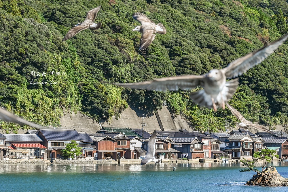 【京都近郊景點】天橋立伊根美山町合掌村一日遊！大阪出發專車接送專人導遊跟團好輕鬆