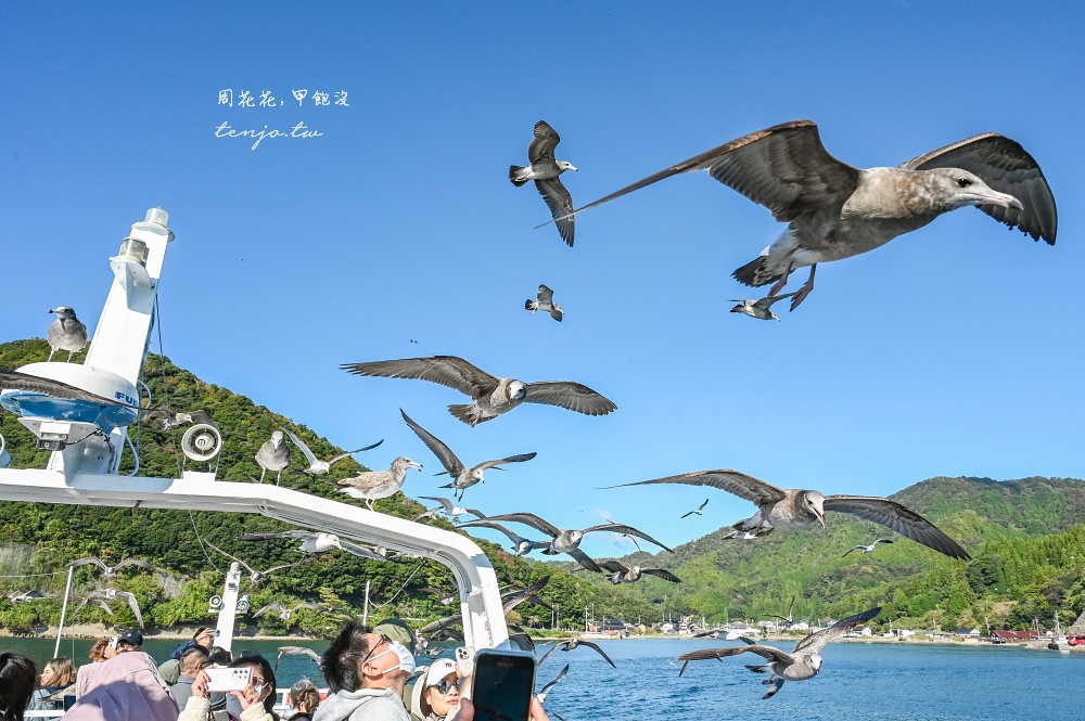 【京都景點推薦】伊根灣遊覽船 遊船欣賞日本威尼斯伊根舟屋！蝦味先餵海鷗老鷹超有趣