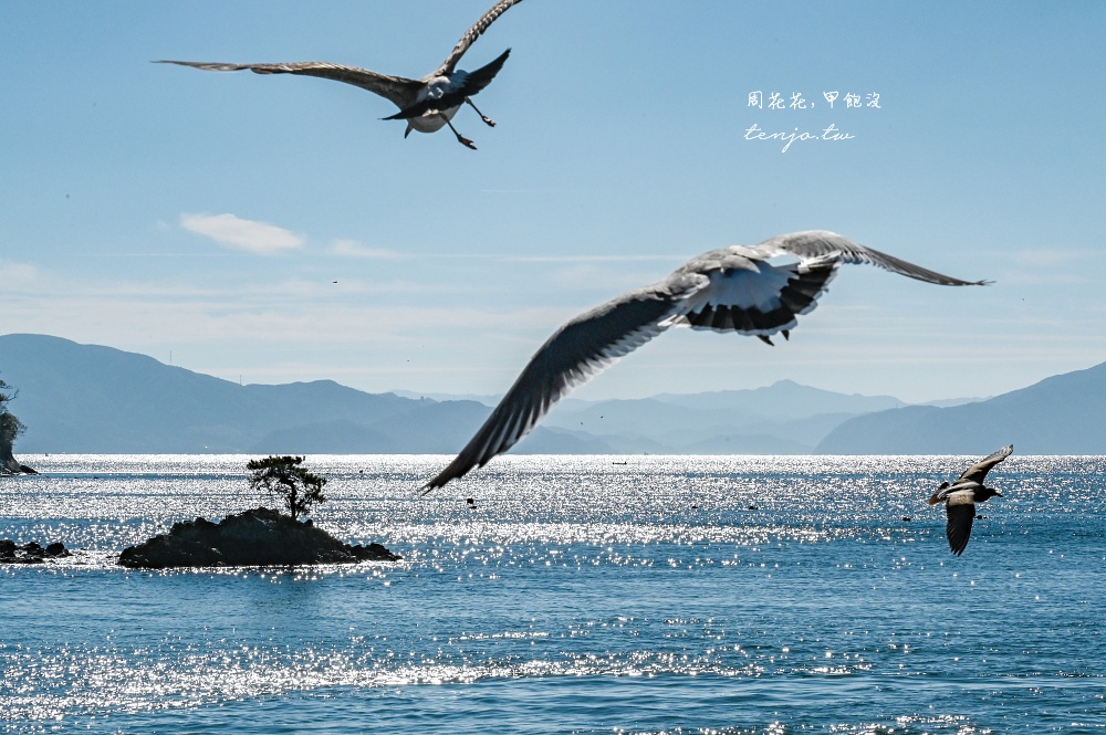 【京都景點推薦】伊根灣遊覽船 遊船欣賞日本威尼斯伊根舟屋！蝦味先餵海鷗老鷹超有趣