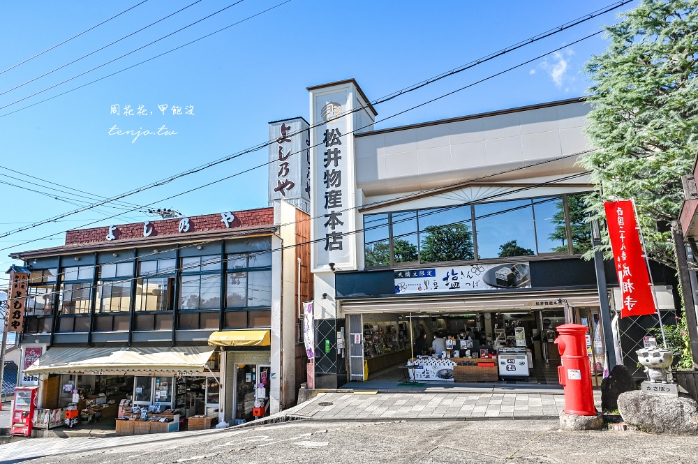 【京都近郊景點推薦】天橋立傘松公園 從胯下看昇龍觀！搭登山纜車吊椅賞絕美日本三景